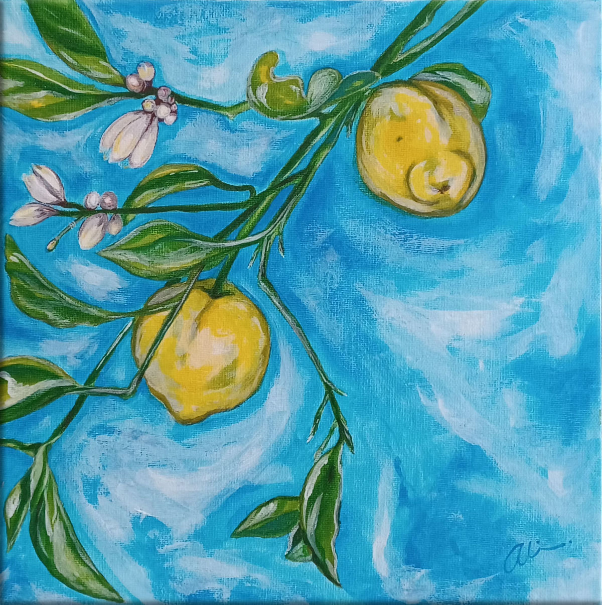 20250113_084239-1200