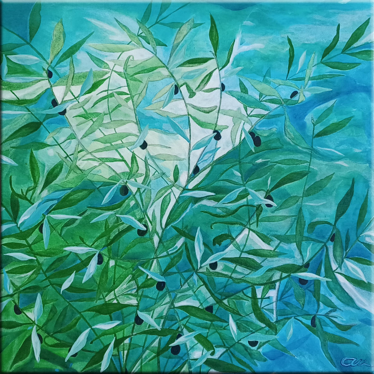 20250113_084357-1200